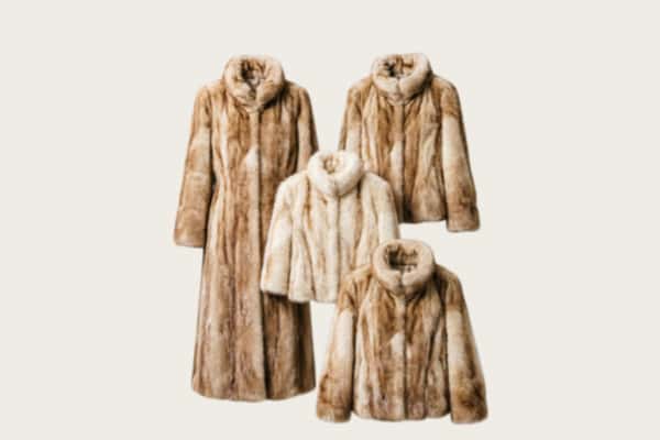 双清区回收皮草衣服